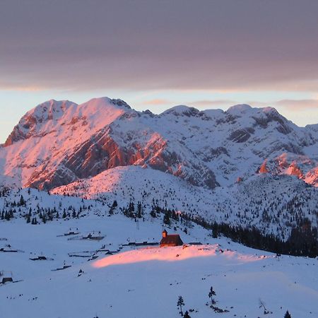 Velika Planina - Chalet Stane - Alps Stahovica المظهر الخارجي الصورة
