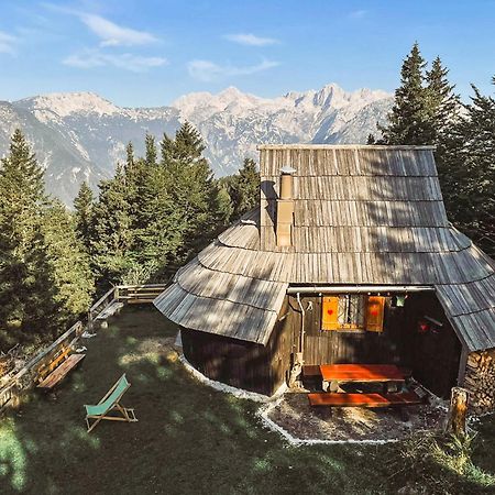 Velika Planina - Chalet Stane - Alps Stahovica المظهر الخارجي الصورة