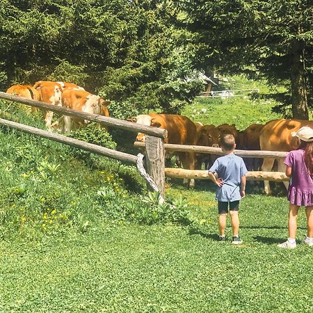 Velika Planina - Chalet Stane - Alps Stahovica المظهر الخارجي الصورة