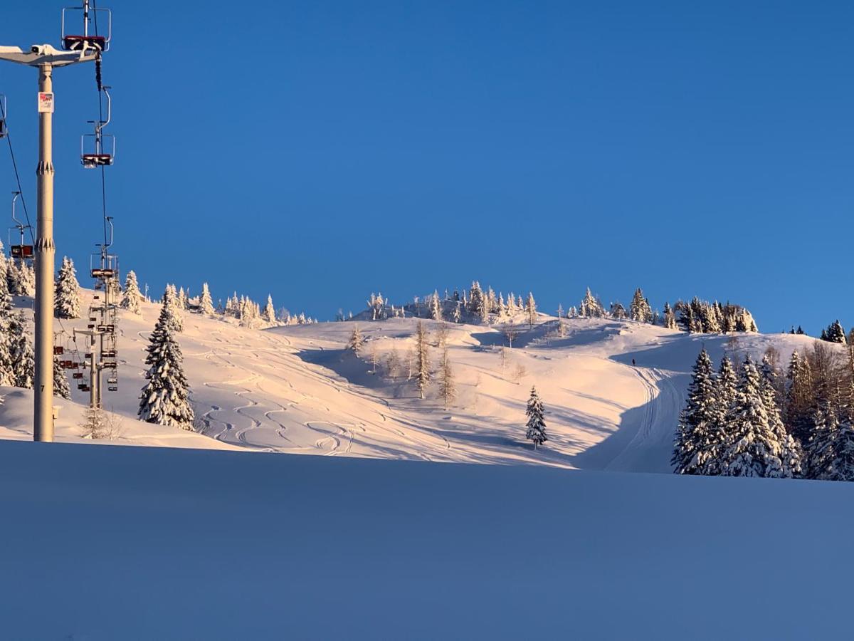 Velika Planina - Chalet Stane - Alps Stahovica المظهر الخارجي الصورة