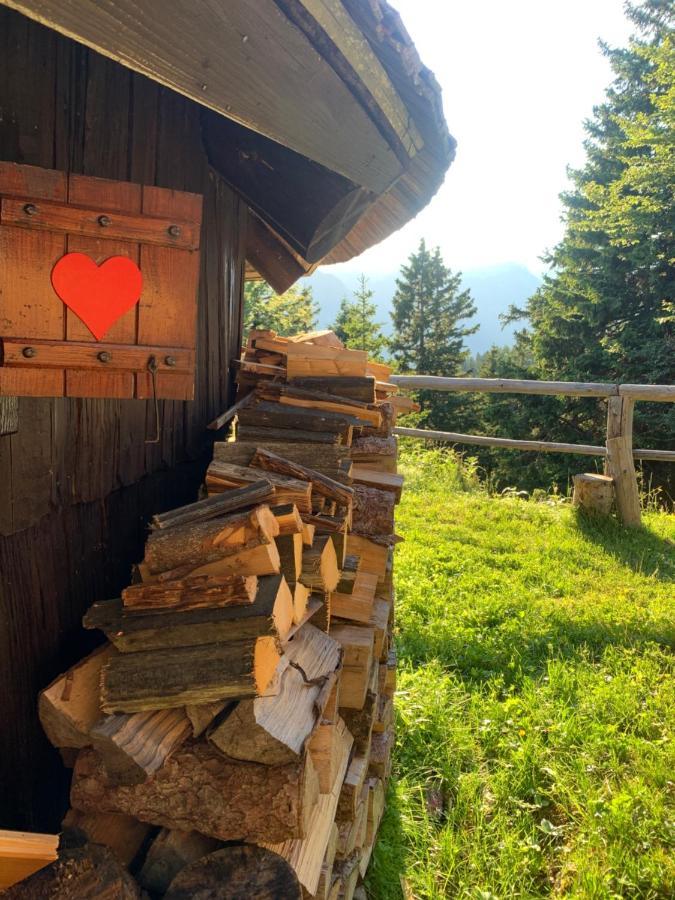 Velika Planina - Chalet Stane - Alps Stahovica المظهر الخارجي الصورة