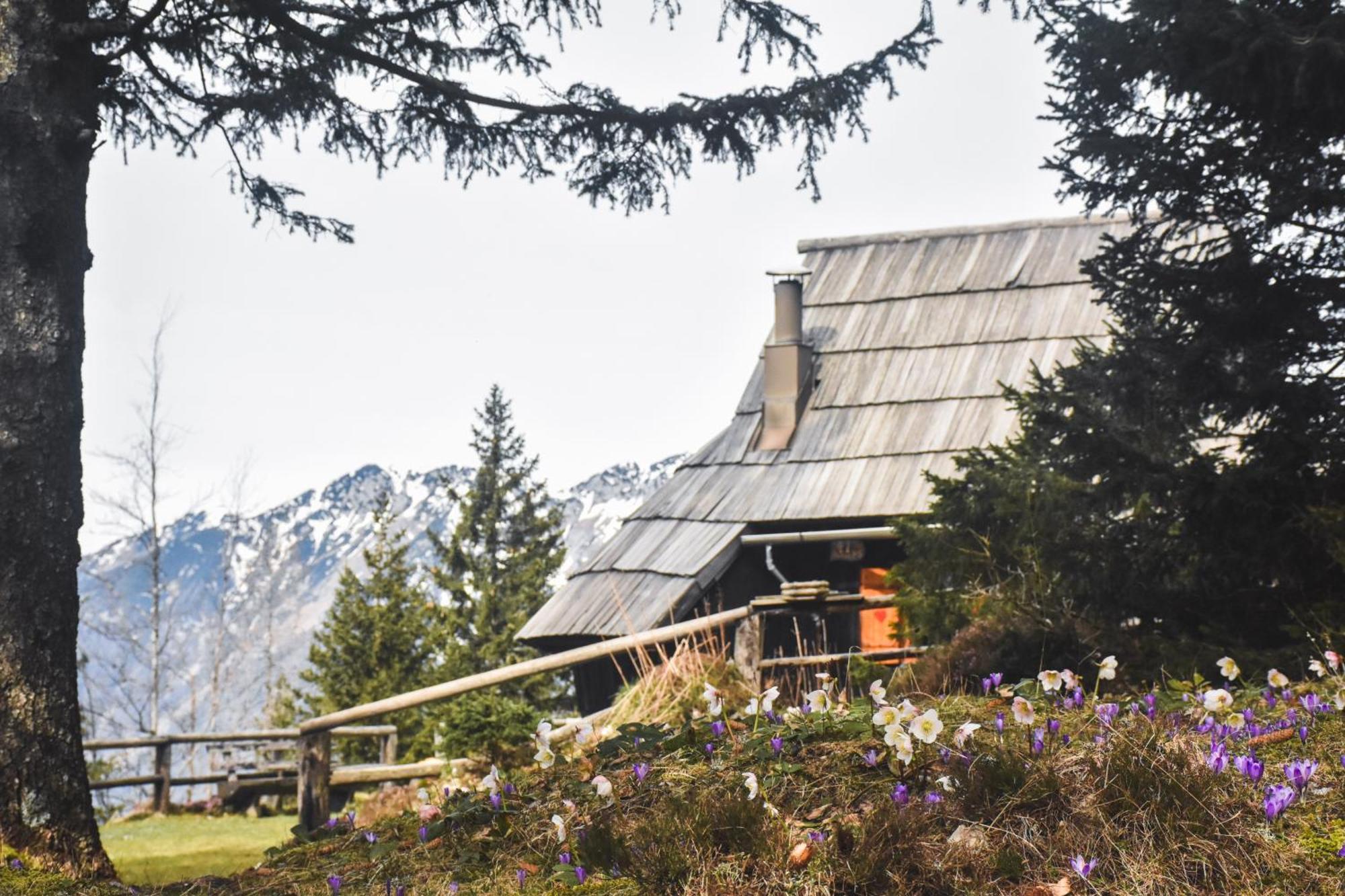 Velika Planina - Chalet Stane - Alps Stahovica المظهر الخارجي الصورة