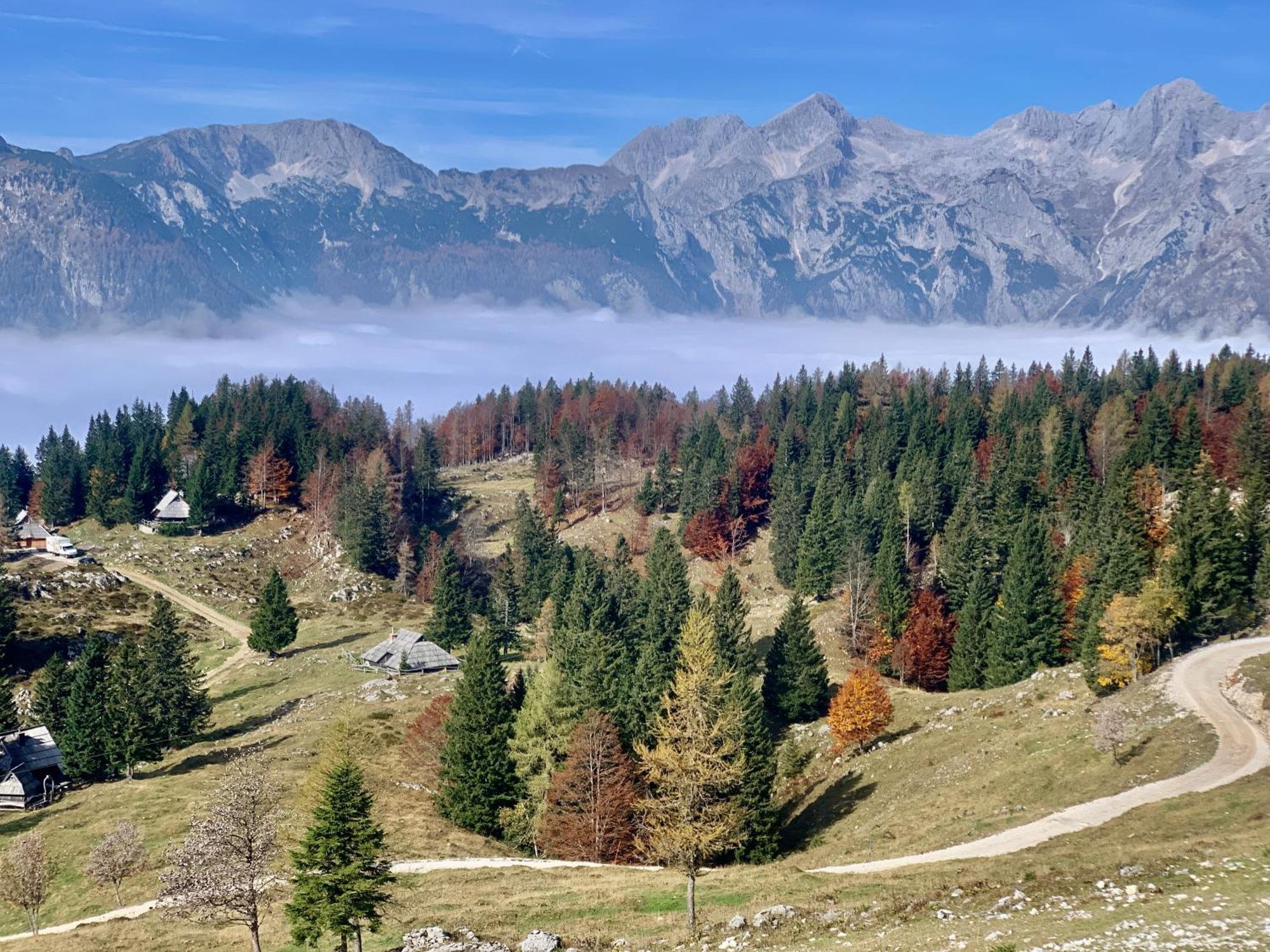 Velika Planina - Chalet Stane - Alps Stahovica المظهر الخارجي الصورة