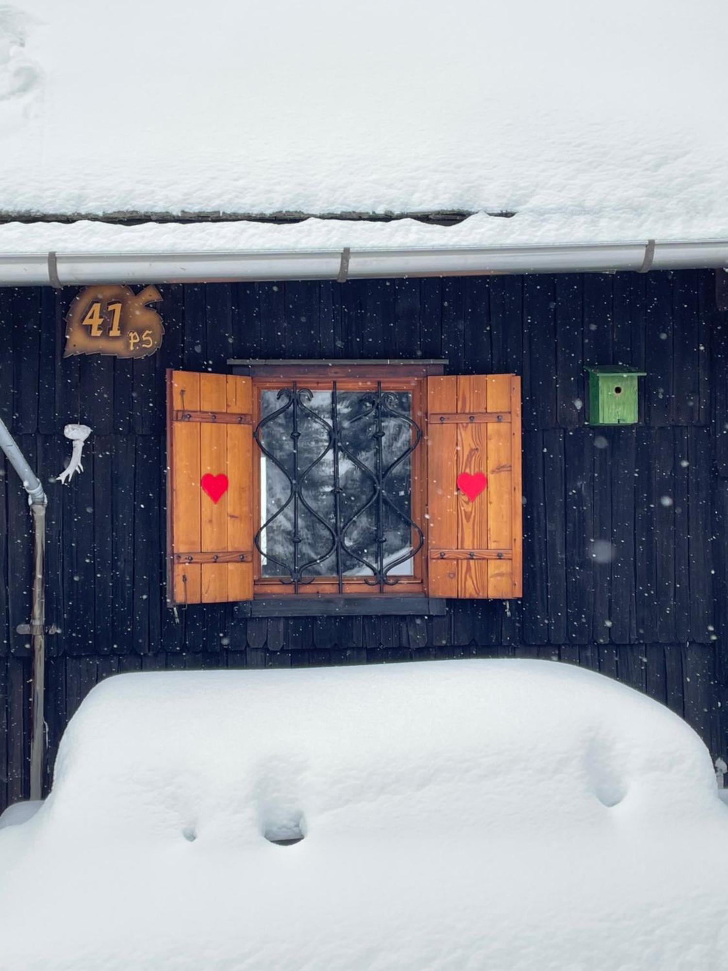 Velika Planina - Chalet Stane - Alps Stahovica المظهر الخارجي الصورة