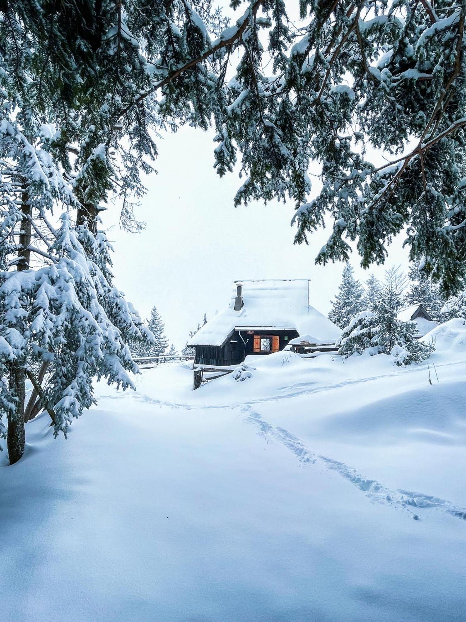 Velika Planina - Chalet Stane - Alps Stahovica المظهر الخارجي الصورة